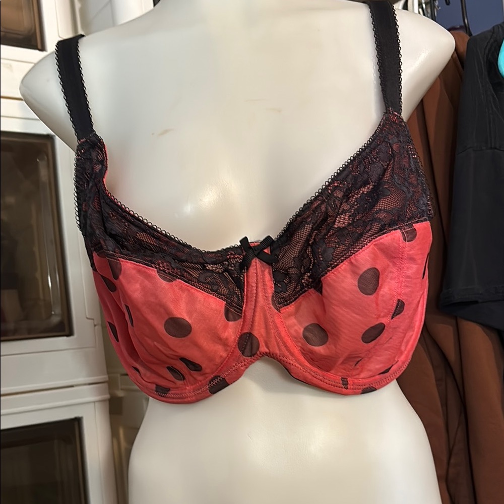 Polka Dot Lace Trim Bra